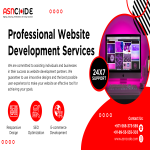 asncode-custome-professional-website-development-services