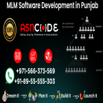 mlm-software-development-in-punjab